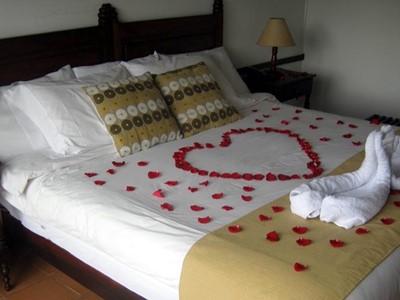 Plan Romántico Virreyes - Hotel Mesón de los Virreyes - Villa de Leyva, Boyacá - image - 3