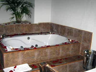 Plan Romántico Virreyes - Hotel Mesón de los Virreyes - Villa de Leyva, Boyacá - image - 4