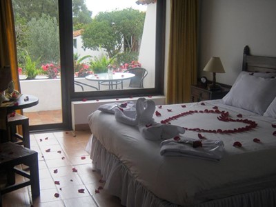 Plan Romántico Virreyes - Hotel Mesón de los Virreyes - Villa de Leyva, Boyacá - image - 5