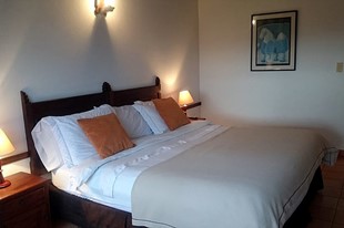 Habitación Doble con Terraza - Hotel Mesón de los Virreyes - Villa de Leyva, Boyacá - image - 6