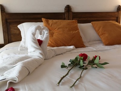 Plan Romántico Virreyes - Hotel Mesón de los Virreyes - Villa de Leyva, Boyacá - image - 2