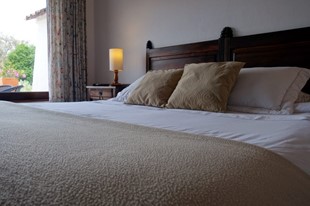 Habitación Doble con Terraza - Hotel Mesón de los Virreyes - Villa de Leyva, Boyacá - image - 3